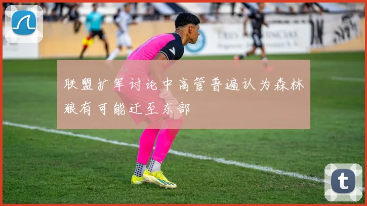 联盟扩军讨论中高管普遍认为森林狼有可能迁至东部